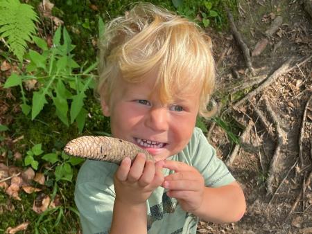 Pohodniški vikend v tuhinjski dolini z novimi gozdnimi doživetji (1)